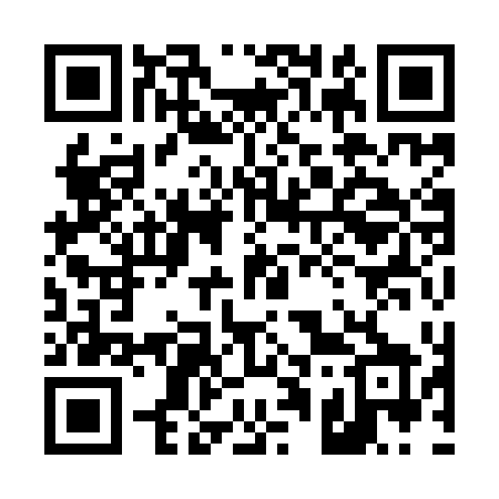QR code for 4199DX