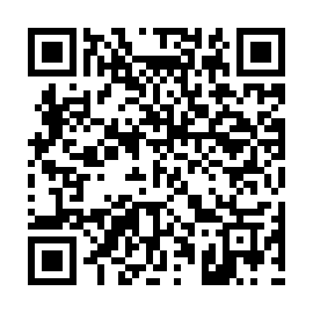 QR code for 4199SW