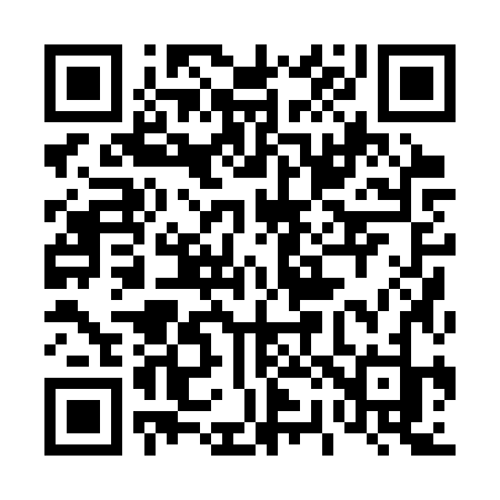 QR code for 4203ZJ