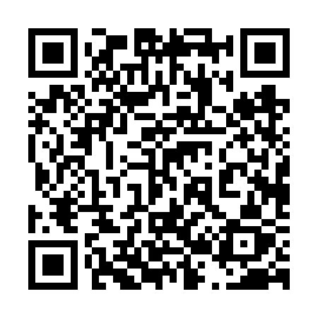 QR code for 4206SZ