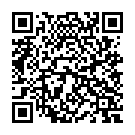 QR code for 4207DS