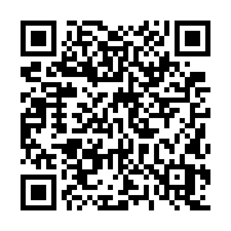 QR code for 4207LT