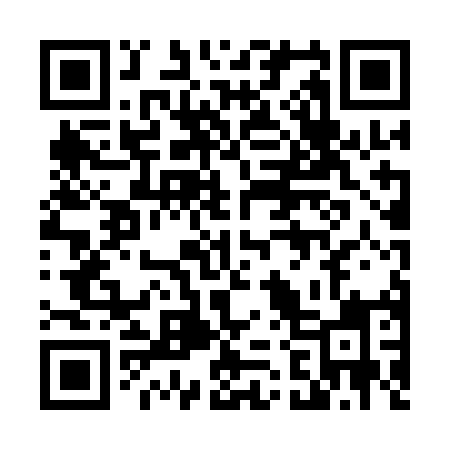 QR code for 4241MI