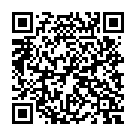 QR code for 4246PV