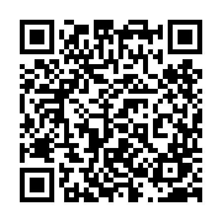 QR code for 4294DT