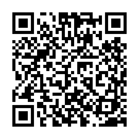 QR code for 4294FI