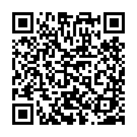 QR code for 4294NI