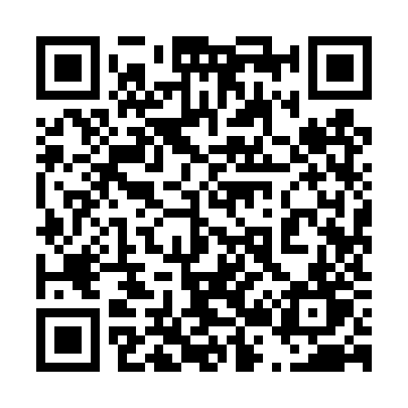 QR code for 4294ZT
