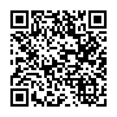 QR code for 4313IO