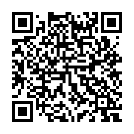 QR code for 4333PI