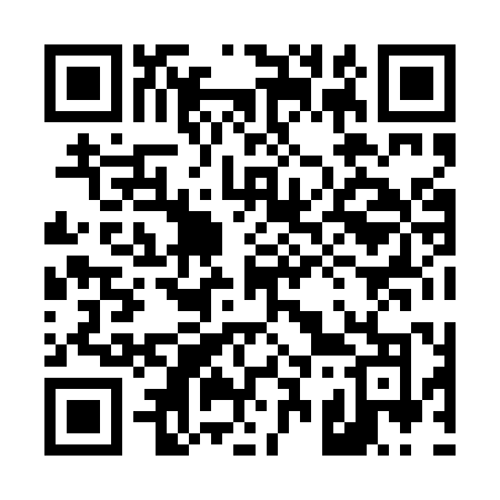 QR code for 4380PO