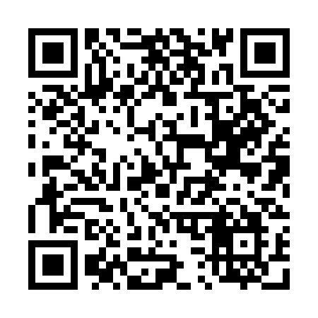 QR code for 4383CO