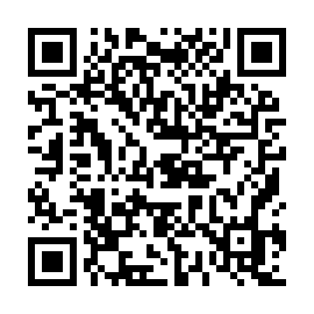 QR code for 4399VO