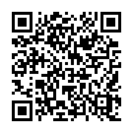 QR code for 4493UX