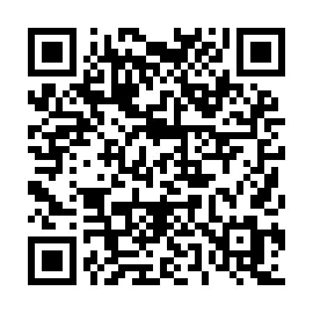 QR code for 4509DM