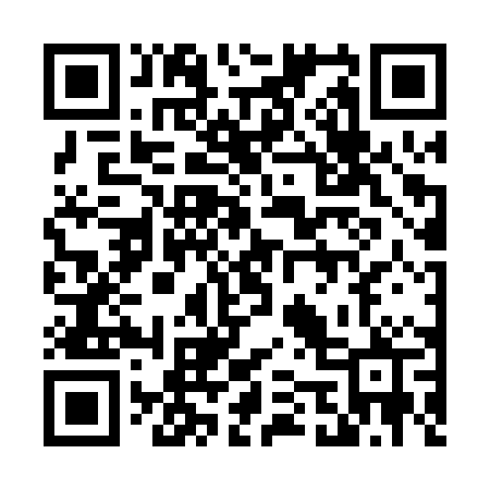 QR code for 4520PP