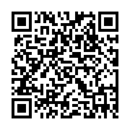 QR code for 4538MA