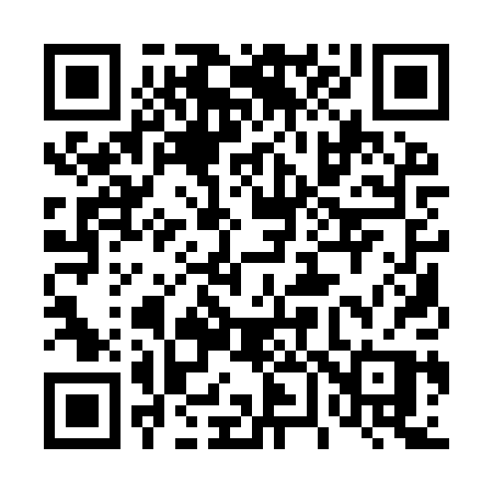 QR code for 4619PP