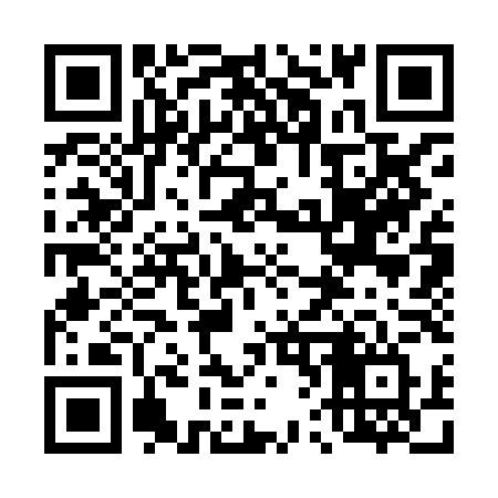 QR code for 4638LV