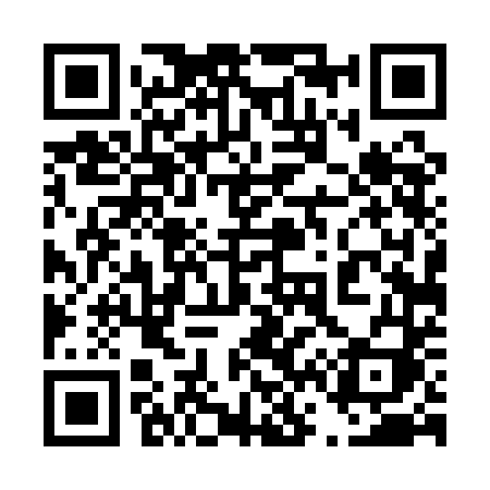 QR code for 4641DI