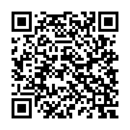 QR code for 4645DZ