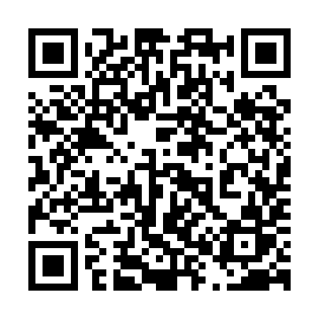 QR code for 4831IR