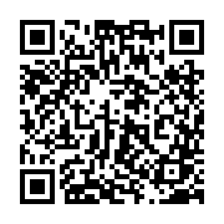 QR code for 4893DS