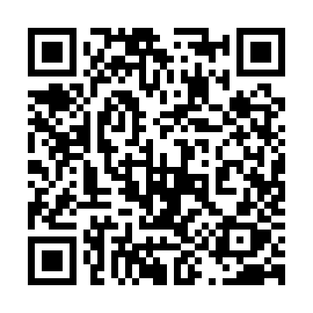 QR code for 4911ZX