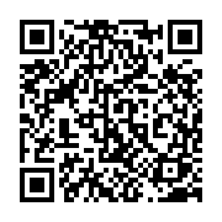 QR code for 4919FQ