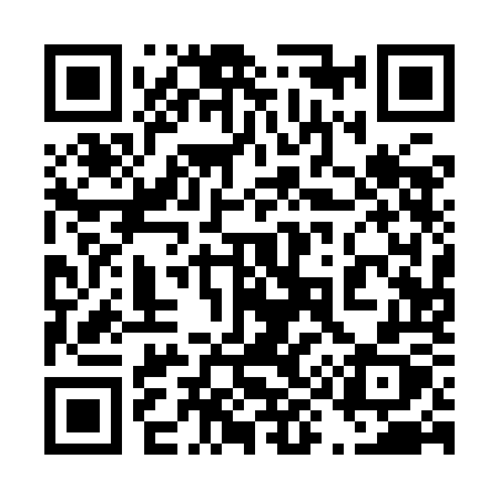 QR code for 4919OX