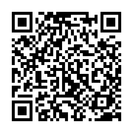 QR code for 4919ZH