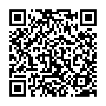 QR code for 4938ZI