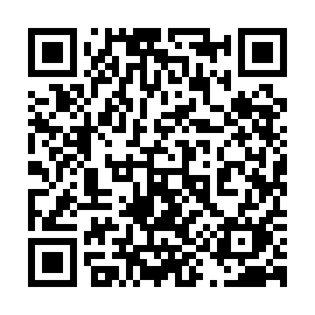 QR code for 4991AM