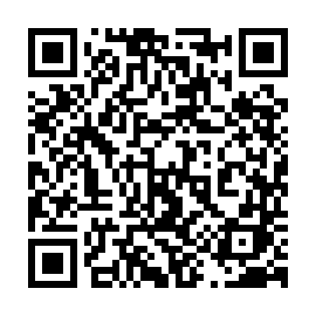 QR code for 4991DH