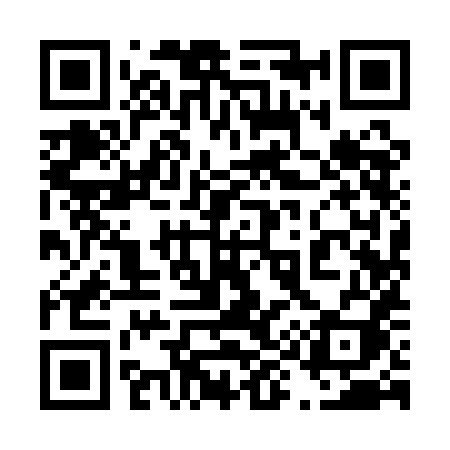 QR code for 4991HI