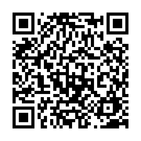 QR code for 4991SG