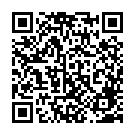 QR code for 4991TF