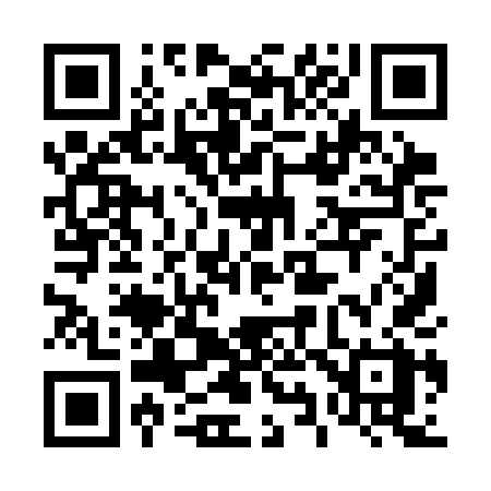 QR code for 4993DX