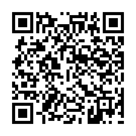 QR code for 4993TW