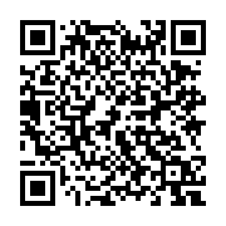 QR code for 4994CT