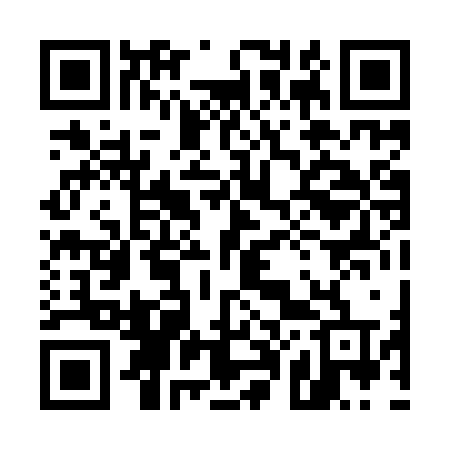 QR code for 5009ZT