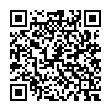QR code for 5029FZ
