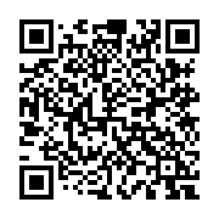 QR code for 5038FI