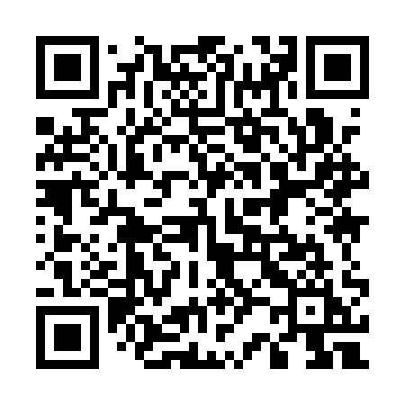QR code for 5291QI