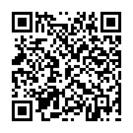 QR code for 5453SF