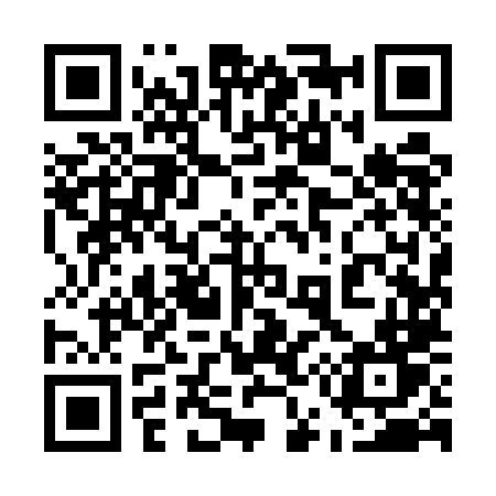 QR code for 5595LT