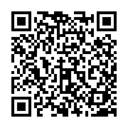 QR code for 5611ZI