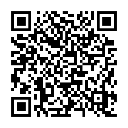 QR code for 6003ZZ