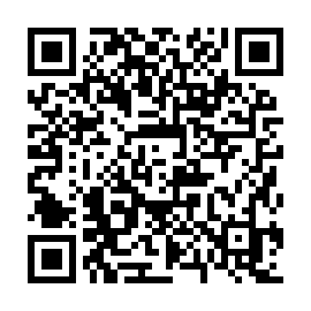 QR code for 6009ZJ