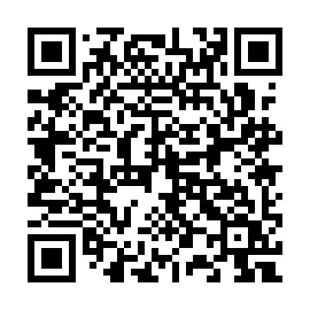 QR code for 6011IV
